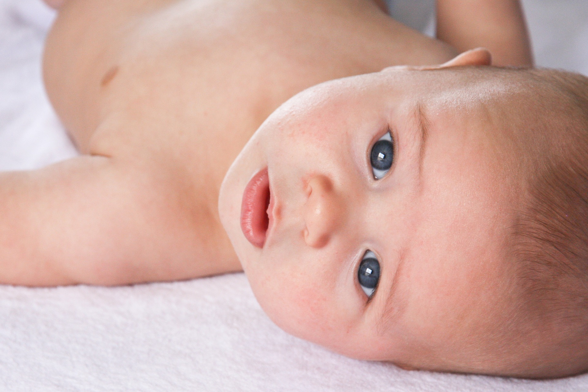Bébé