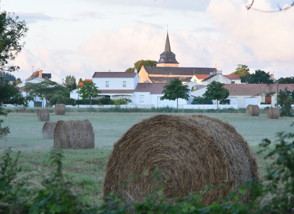 Commune