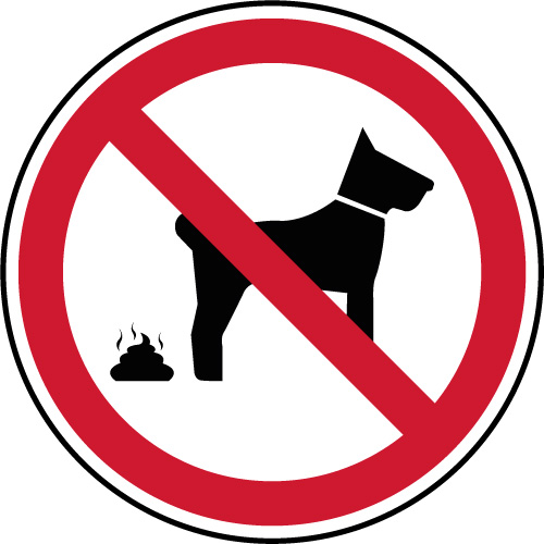 chien déjection