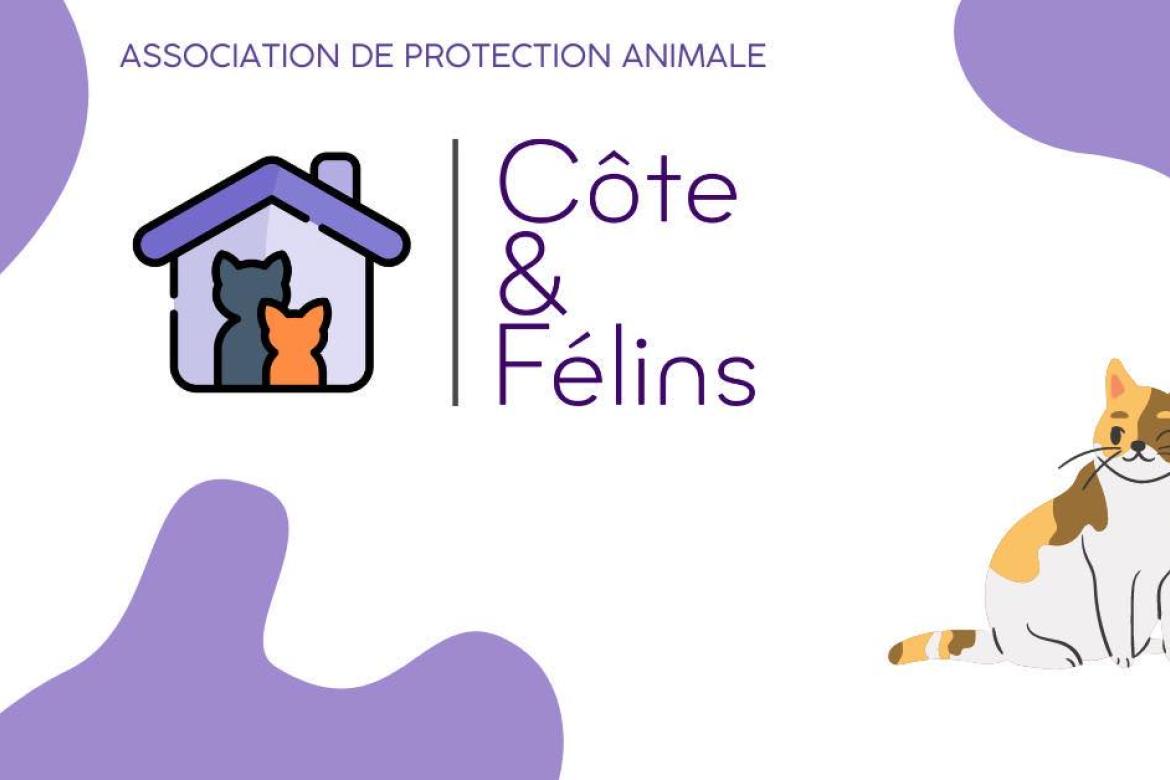 CÔTE&FÉLINS