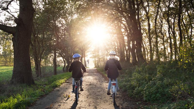 Enfants sur vélo dans forêt