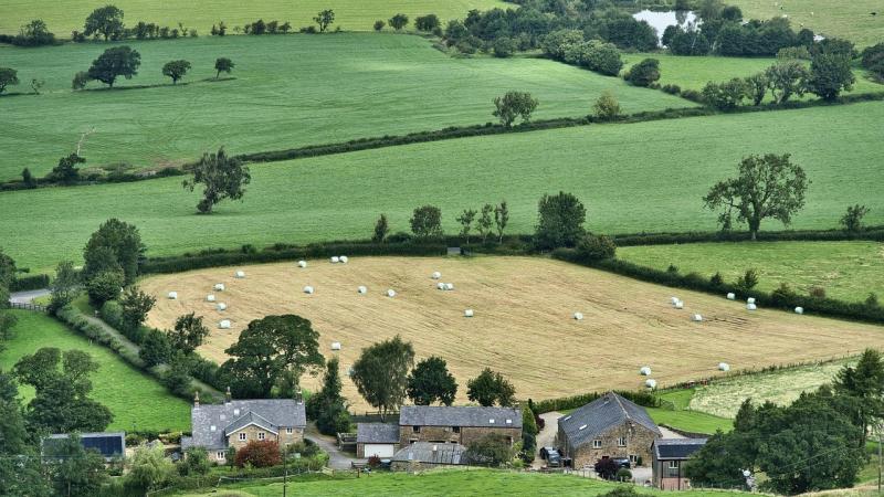 Paysage rural