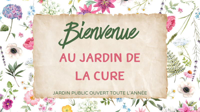 Bienvenue au jardin de la cure