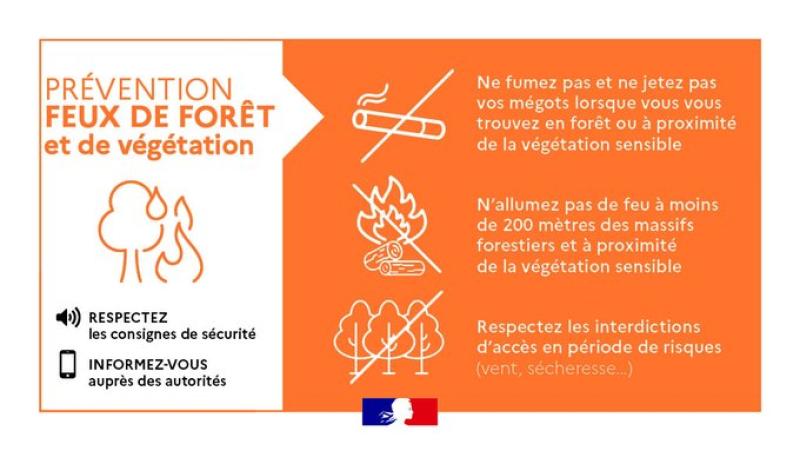 Affiche feux forêt et végétation